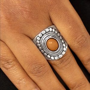 Silver and brown ring